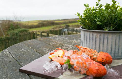 Bwthyn Bach - Foto 22