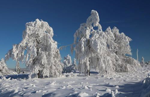 Ferienwohnung Hankeln - Foto 42