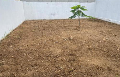 Família Feliz - Photo 3