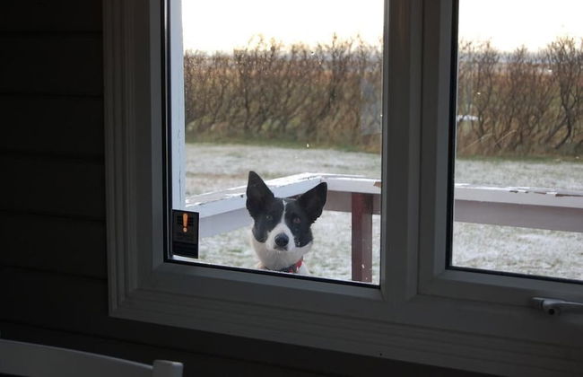 Móar Cottages - Foto 28