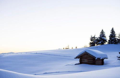 Appartement Fischnaller Vals - Foto 24