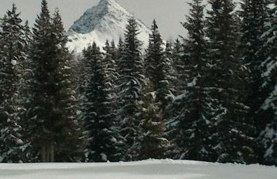 BALCONE SULLE DOLOMITI 2 - Photo 56