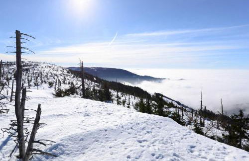 Ferienwohnung Fürstenkopf - Foto 23