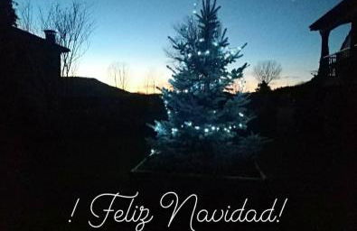 CASA RURAL COSTALAGO - Photo 26