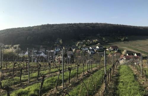 Holiday apartment Südpfalz Quartier 42 - DRIWWE - Foto 23