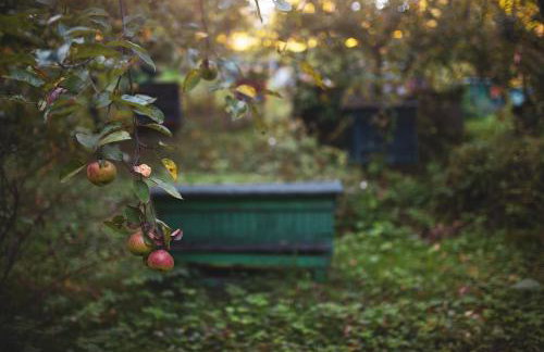 Pasieka - Dom Wypoczynkowy - Foto 40