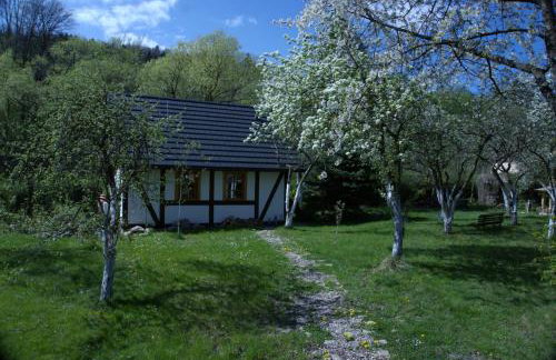 Górski Sad - Bazylia - Foto 12