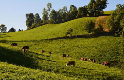 Ferienhaus, Muhlenbach - Foto 68