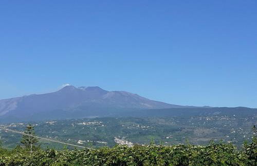 Acqua di Mare - Foto 57