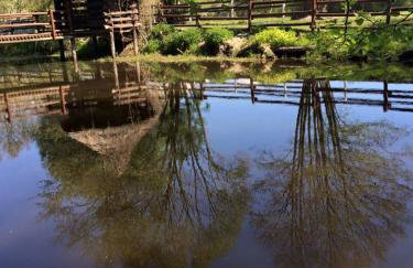 Agroturystyka Stajnia Zwierzyniec - Foto 23