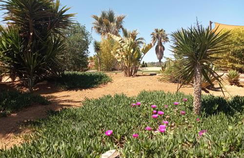 Folco Studio Apartment - Foto 30