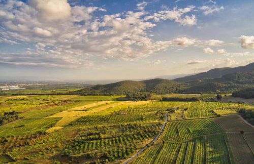 La Muntanera - Eco-friendly apartment - Foto 32