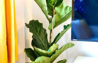 A Luxurious Home with Hot Tub and Man Cave! 9ppl - Foto 30