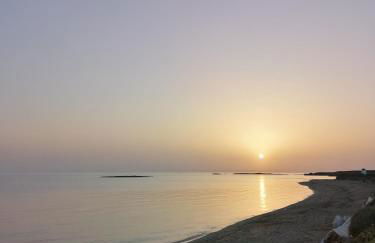 Maestralia - Photo 71