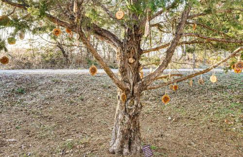 Hot Tub and Barrel Sauna! Lakefront Innsbrook Chalet - Foto 33