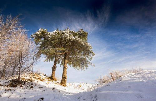 The Organic Cotswolds Shepherds Hut - Photo 62