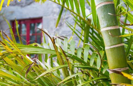 Quinta do Torcaz - Foto 83