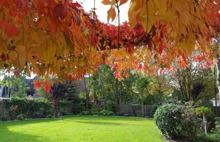 Wohnung 1 Haus- Annegrete mit überdachter Terrasse zum Garten - Foto 7