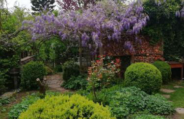 Haus Rosenbusch - Foto 16