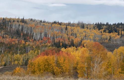 Whistle Pig Retreat at 22 West Cabins and Recreation - Foto 27