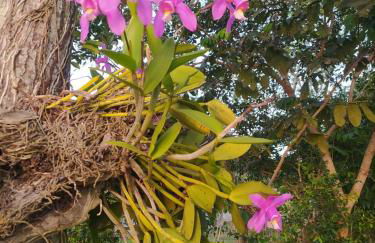 Recanto da Lagoa - Natureza, paz e aconchego - Foto 11