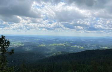 Große Ferienwohnung Hundertwasser am Dreisessel in Altreichenau - Foto 43