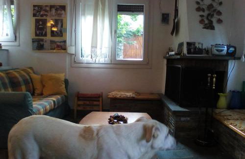 Ginî Viñis - Foto 6