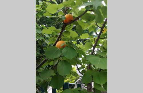 Villa Arenella - Foto 33