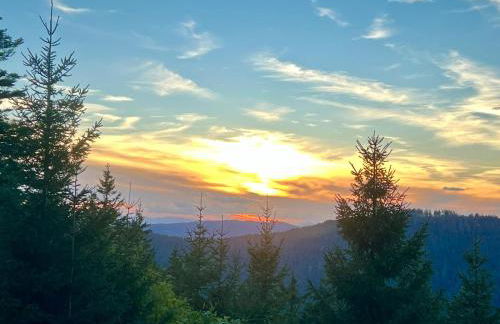 Tannenduft Freudenstadt - Foto 29