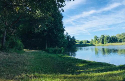 Domek wypoczynkowy w lesie nad jeziorem - Foto 25