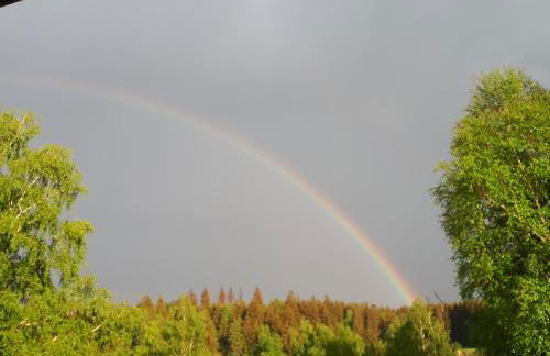 Behagliches Ferienhaus Zaunkönig -mit Kamin und Sauna- Blick über das romantische Bodetal - Foto 17