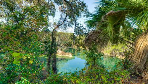 Suntan, Splash and Score Family Home in Hernando - Foto 3