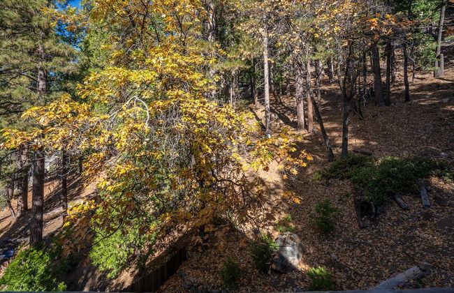 Timber Lodge Yosemite Enveloped in Nature! - Foto 18