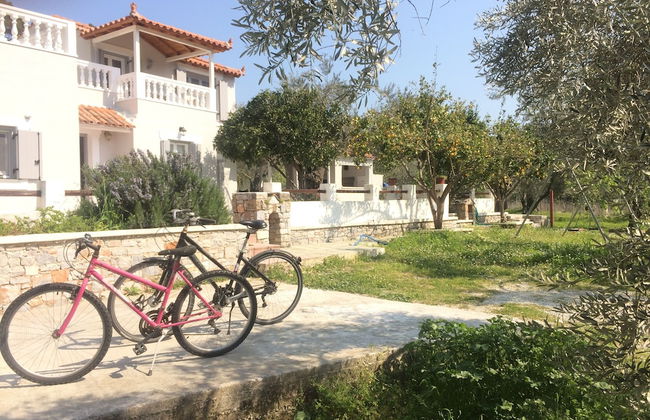 Villa Tillia - Foto 45