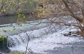 La tête dans les étoiles - Foto 10