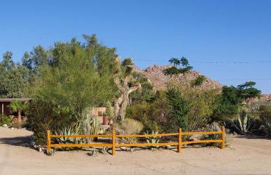 Joshua Tree Bugalow - Downtown - Foto 18