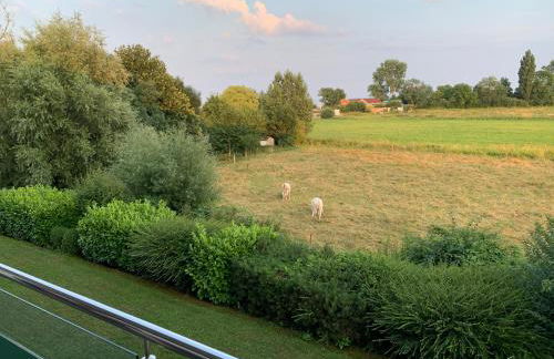 Meer mit Blick, Dat witte Hus - Foto 10