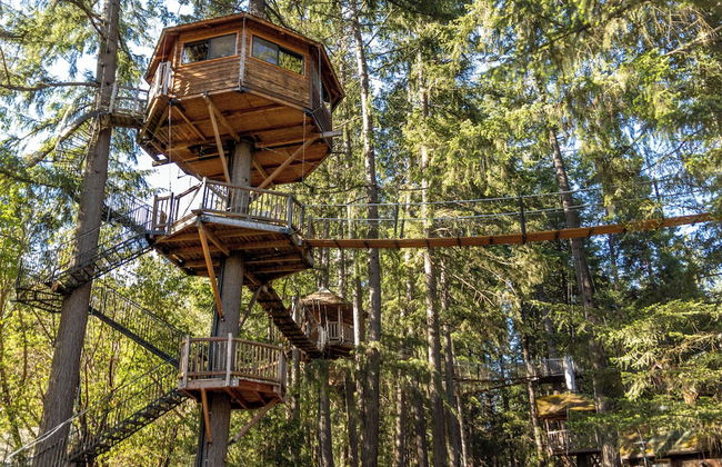 Out 'N' About Treehouse Treesort - Foto 1