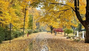 Meadow Sunrise - Foto 3