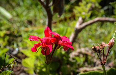 Quinta dos Frutos - Foto 6