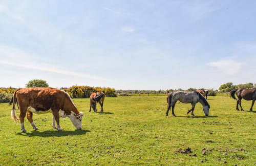 Greenbank Cottage - Photo 14