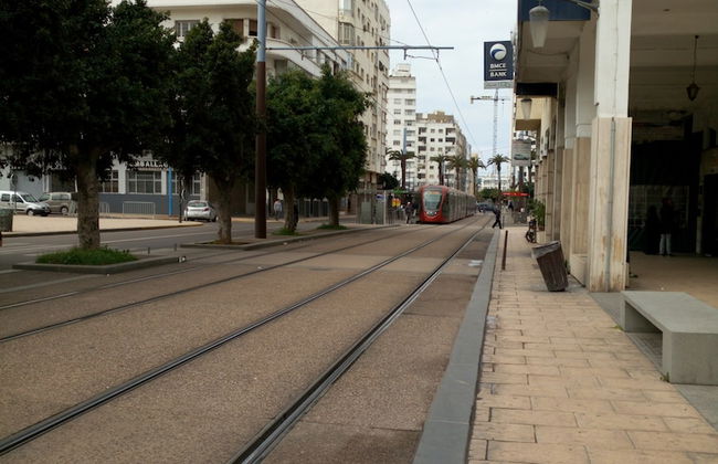 La Palette - Photo 7