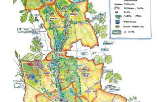 Meneghin House - Foto 23