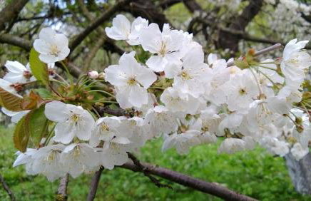 Studio Gościnne ANTEK - Foto 25