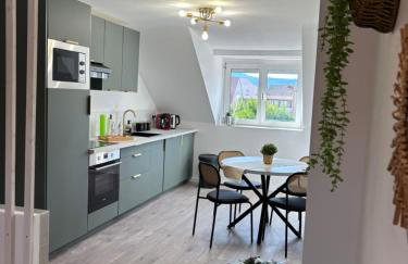 Le Col'Vert - Appartement 50m2 - Colmar Centre - Foto 1