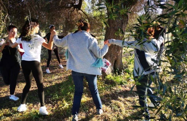 Visita a una almazara y su olivar + Cata de aceite - Foto 3