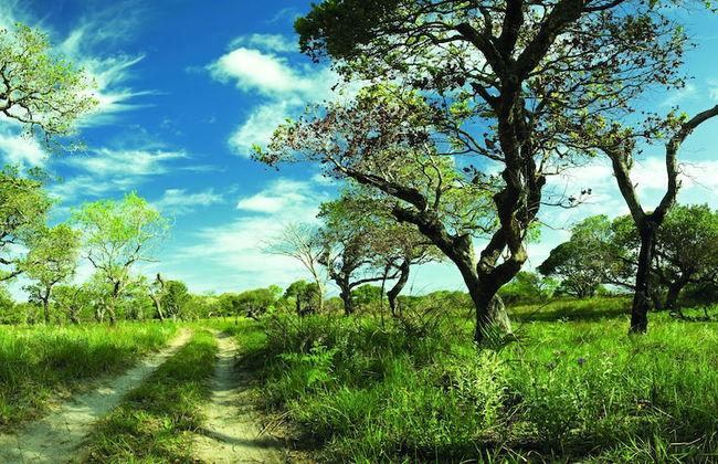 First Group Lake View Cabanas - Photo 66