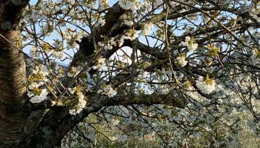 VILLA CATHY - Foto 5