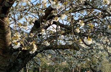 VILLA CATHY - Foto 13