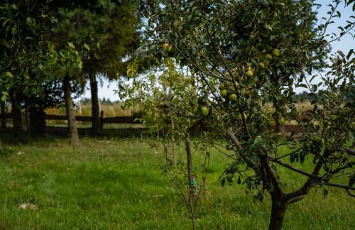 Agroturystyka u Julii - Foto 18